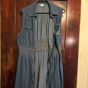 Jean Zip up dress